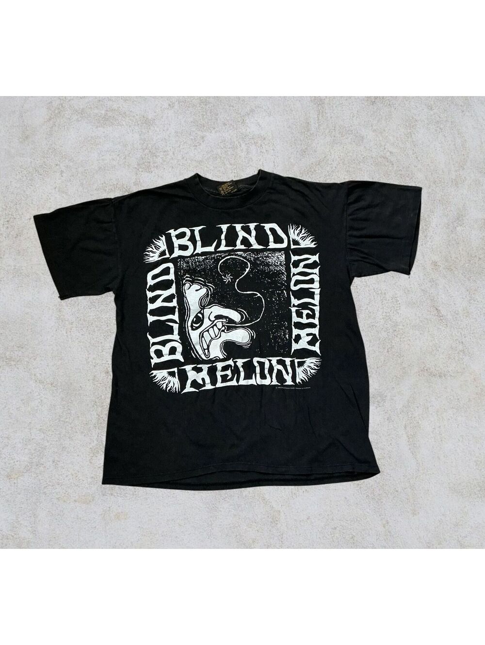 Vintage 1993 Blind Melon Crammed In A Van Tour Tee Brockum